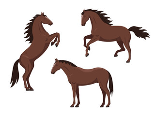 Set of brown horses