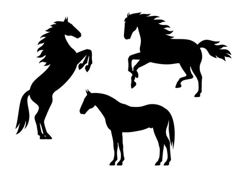 Set of silhouette horses