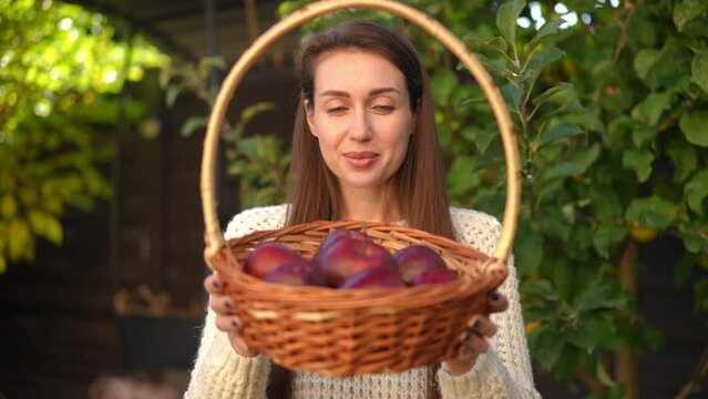 Rack focus from face of happy beautiful woman smelling apples in basket to healthful fruits. Young slim Caucasian female gardener bragging harvest standing outdoors. Slow motion