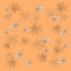 Autumn Vector Pattern with Maple Leaves