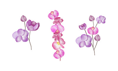 watercolor colorful floral element design