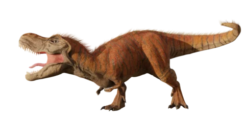 Keuken spatwand met foto Tyrannosaurus rex, T-rex dinosaur from the Late Cretaceous, isolated © dottedyeti