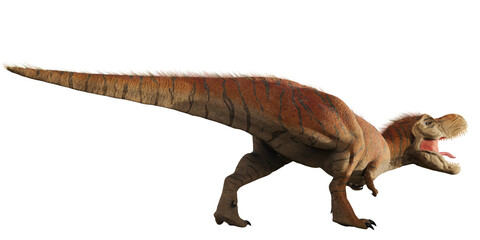Tyrannosaurus rex, T-rex dinosaur from the Late Cretaceous, isolated   