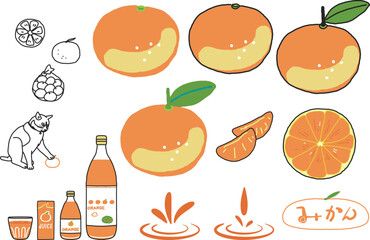 みかん　みかんの加工品　カラー　ライン　セット　イラスト素材
