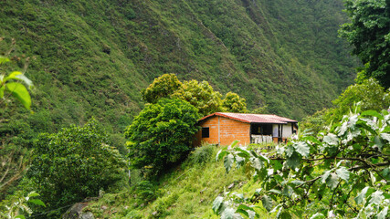 Construction of a human settlement in the mountains of the forests of Merida, Venezuela.