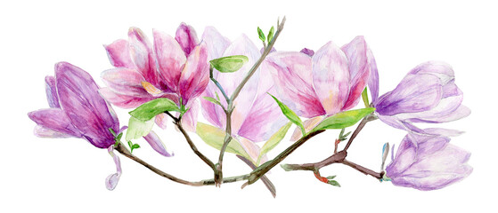Watercolor magnolia floral arrangement, magnolia borders, wreath, frame, spring botanical floral illustration, PNG, transparent background, wedding invitations, logos, blogs  - obrazy, fototapety, plakaty