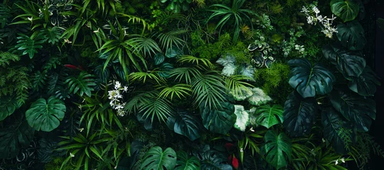 Poster Im Rahmen Creative nature green background, tropical leaf banner or floral jungle pattern concept.  © kelvn