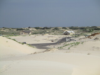 Hummingbirds Feeding on a feeder