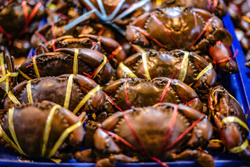 Crabs frozen in ice trays are sold at Baan Na Kluea Fresh Seafood Market, Pattaya, Thailand.
