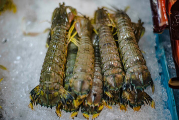 Crayfish frozen on ice trays for sale at Baan Na Kluea Fresh Seafood Market, Pattaya, Thailand.