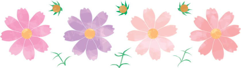 水彩風コスモスセット