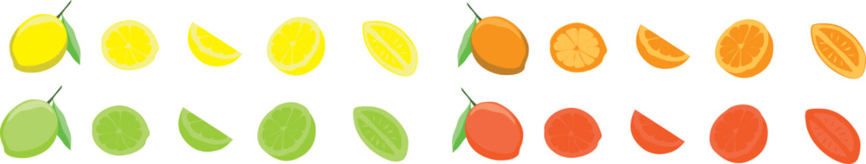 Fresh citrus fruit on white background. Oranges, lemons, lime and grapefruit. Whole, half and slice citrus set. Vector 