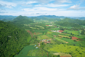aerial view from flying drone of Field rice with landscape green pattern nature background, top view field rice