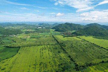 aerial view from flying drone of Field rice with landscape green pattern nature background, top view field rice