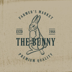 classic hand drawn bunny with vintage background