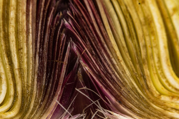 natural artichoke heart cut in half