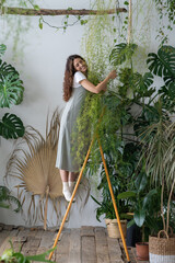 Young happy joyful German female plant lover standing on stepladder and embracing asparagus fern...