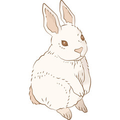 White Rabbit PNG Clipart Illustration