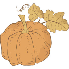 pumpkin with leaves PNG Clipart Illustration