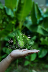 Technology,   Hands holding  globe of tropical nature summer background, 