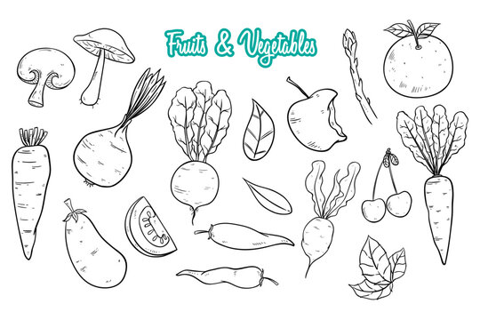 hand drawing vegetables and fruits collection on white background