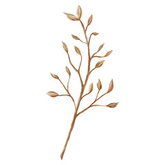 leaves isolated on white PNG Clipart Illustration