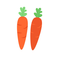 Two carrot vector vegetable products vector illustration 