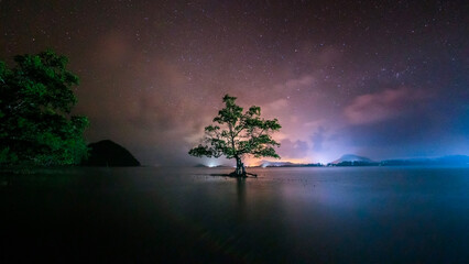 Night landscape at the Lonely Mangrove Tree by the Beach in Pulau Mawar, Mersing, Johor