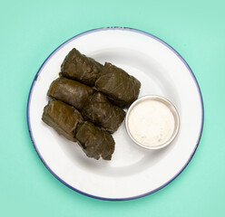 Dolma on color background.