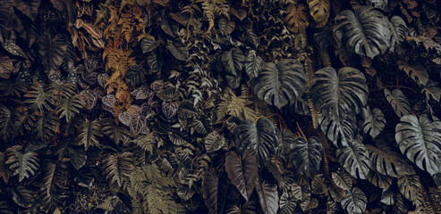 Creative nature leaves background, tropical leaf banner or floral jungle pattern concept.