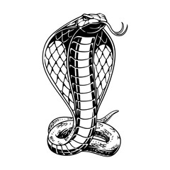 vector illustration Cobra stands tall against a centrimetric background black and white design