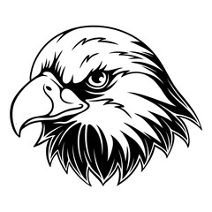 vector illustration Eagle head with a dashing position black and white design