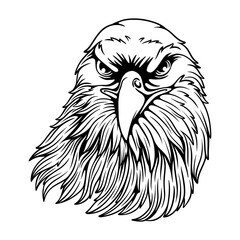 vector illustration Eagle head with the pose of stalking its prey black and white design