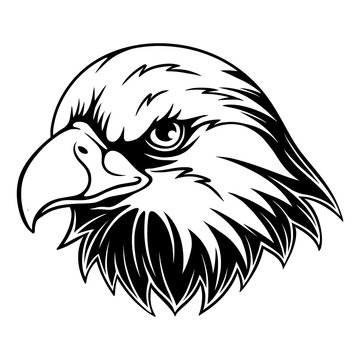 vector illustration Eagle head with a dashing position black and white design