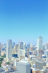 Fototapeta na wymiar Suburban, Landmark, Tokyo Tower