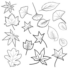 Line art set of autumn leaves, outline collection. Coloring page for kids and adult