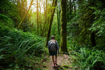 Obraz premium Solo Female Hiker walking through a lush wooded forest in the beautiful Pacific Northwest. Outdoor lifestyle photo