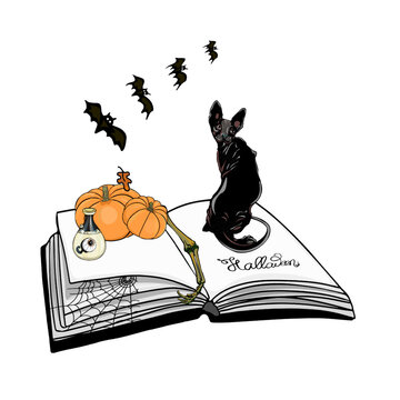 Isolated illustration open book halloween, book of the dead. A book in which a black cat, a flying mouse, a pumpkin for printing on clothes, a blank for designers, textiles, a logo, icon