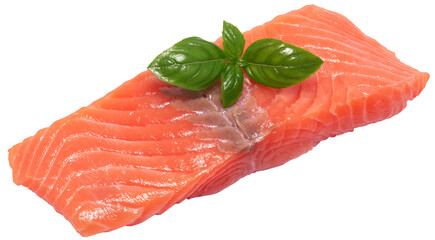 piece of salmon fillet isolated 