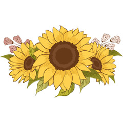 sunflower png clipart illustration