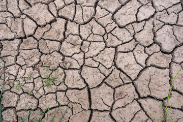 Texture of cracked earth. Close-up.