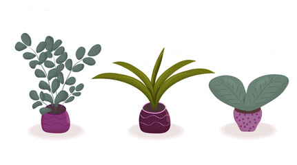 Fototapeta na wymiar A set of png file indoor plants in pots illustration. Ready-made set for the designer.