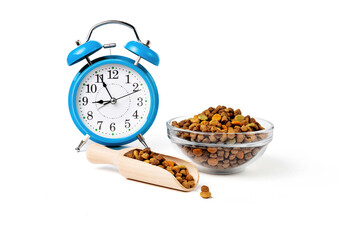 Meal time with bowl full of dry pet food. Isolate.