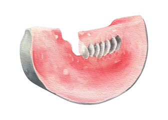 Watercolor slice pumpkin isolated.