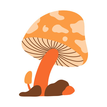 Mushroom Autumn Element