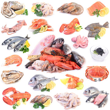Seafood on a white background