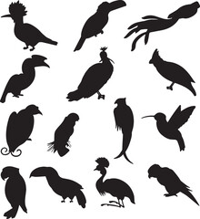  Bird silhouette set
