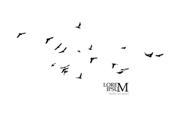 A flock of flying birds. Free birds. Vector illustration