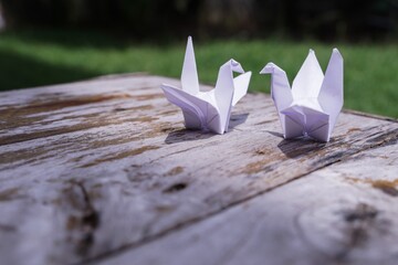 The origami bird is believed to be a sacred bird and a symbol of longevity, hope, good luck and...