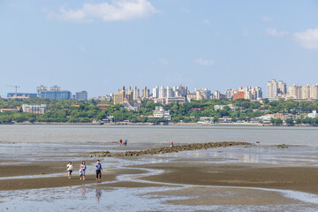 Low tide of the tamshui river in Taiwan Bail